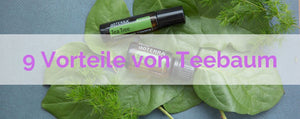 9 Vorteile dieses vielseitigen ätherischen Öls, Melaleuca Essential Oil, entdecken.