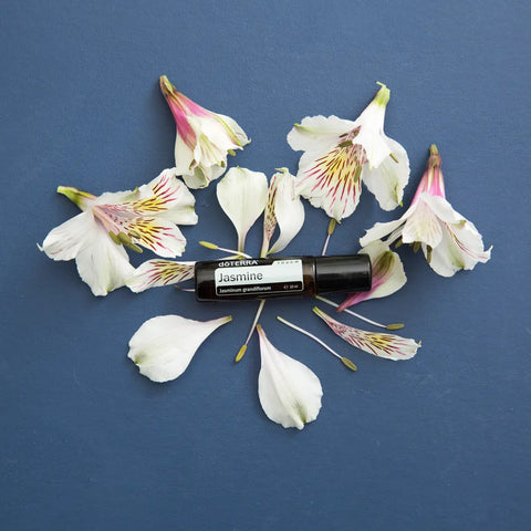 dōTERRA Jasmin Touch Roll-On 10ml – Blütenblätter und Alstroemerie auf blauem Hintergrund, Vogelperspektive | doTERRA