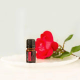 dōTERRA Passion Mischung 5ml – Teller mit Muschel auf grauem Hintergrund | doTERRA
