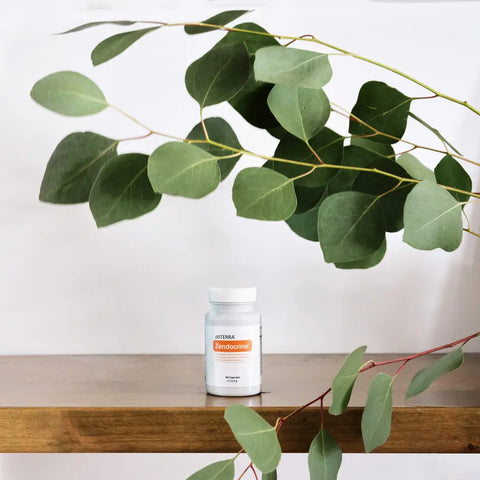 dōTERRA Zendocrine Komplex 60ct weiße Flasche im Regal mit Eukalyptus | doTERRA